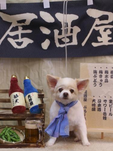 20240614ななちゃん